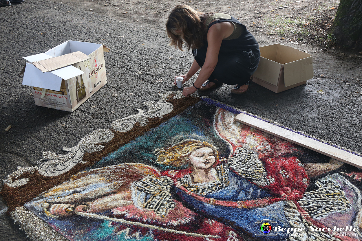 VBS_9555 - Infiorata di Villanova d'Asti 2023.jpg
